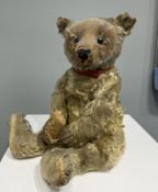 A German Steiff Teddy Bear, with Steiff button in right ear, circa 1910, wood wool filling, boot