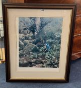 Steven Townsend print 'Kingfisher' signed limited edition, framed and glazed, overall size 78cm x