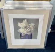 Eight framed prints from Brigitte Carnochan, each still life photography depicts a single white rose