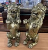 A pair heavy antique brass Lion Firedogs.