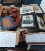 A collection to include a glass case, display plinths and stands, approx. 19 frames and paintings of