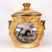 Huge Romany Gypsy Tureen in Brushed Pattern and Gilt. All four sides feature a transfer printed