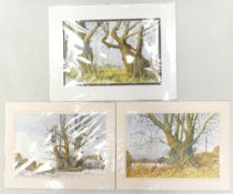 Doris Brown S.W.A (1933-2023) Three untitled Forest Scenes. Watercolour on paper, mounted. Signed