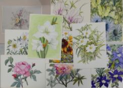 A Collection of Nine Unsigned Floral Watercolours from the Personal Collection of Doris Brown S.W.