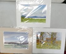 Doris Brown S.W.A (1933-2023) 'Loch Maree, Scot' together with two untitled scenes. Watercolour on
