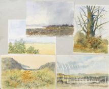 Doris Brown S.W.A (1933-2023) Five Landscapes and Forest Scenes. Watercolour on paper, unmounted.