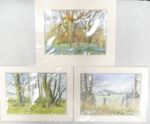 Doris Brown S.W.A (1933-2023) Three Untitled Forest Scenes. Watercolour on paper, mounted. Signed