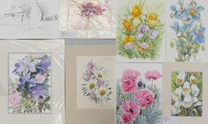 A Collection of Eight Floral Watercolours and one Rural Building Pen Sketch by Doris Brown S.W.A (