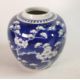 19th Century Chinese Prunus design ginger jar with double ring mark - Image 1 of 2