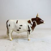 Beswick Ayrshire Bull, Champion Whitehall Mandate, model 1454.