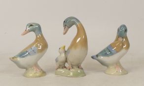 Wade duck and duckling Drake and Daddy together with two togeher similar ducks (3)