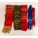 Large collection of RAOB Buffaloes jewels including some silver. Together with sashes, documentation - Image 4 of 4