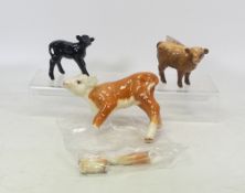 Beswick Aberdeen Angus Calf and a Highland Calf together with one Hereford Calf 901B a/f (3)