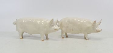 Two Beswick Pigs to include CH Wall and CH Wall Queen (2)
