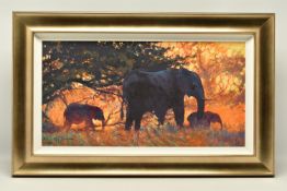 ROLF HARRIS (AUSTRALIA 1930-2023) 'BACKLIT GOLD', a signed limited edition print on canvas board,