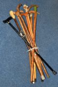 A COLLECTION OF WALKING STICKS, comprising eleven sticks, a resin 'Beethoven' topped stick, an