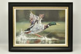 DEBBIE BOON (BRITISH CONTEMPORARY) 'ON YOUR MARKS', a signed limited edition print on board,