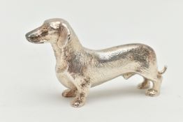 AN ELIZABETH II SILVER DACHSHUND FIGURE, realistically textured, maker Albert Edward Jones,