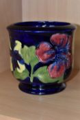 A MOORCROFT POTTERY PLANTER, in the Hibiscus pattern on a dark blue ground, height 13cm x internal