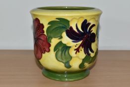 A MOORCROFT POTTERY PLANTER, in the Hibiscus pattern on a graduated yellow to green ground, height