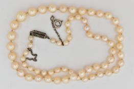 A CULTURED PEARL NECKLACE, a single row of graduated cream pearls, individually knotted on a white