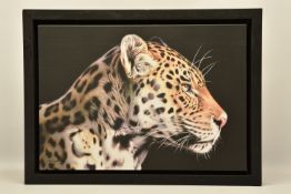 DARRYN EGGLETON (SOUTH AFRICA 1981) 'THE WILD SIDE I', a signed limited edition print on canvas