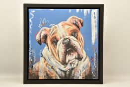 SAMANTHA ELLIS (BRITISH 1992) 'THE HARD STARE', a signed limited edition print on canvas depicting a