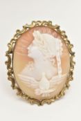 A LARGE YELLOW METAL CAMEO BROOCH, carved shell cameo depicting a lady in profile with sun burst