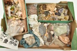 A BOX OF ROUGH GEMS, SHELL ETC., to include a fossil, rough pieces of lace agate, quartz, flint,