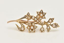A YELLOW METAL CULTURED PEARL SET BROOCH, of a floral design, set with small seed and split