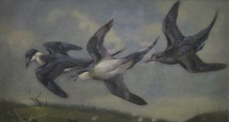 SEABY, ALLEN WILLIAM (1867-1953) British (AR), Arctic Skuas, oil, initialed 