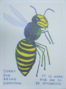 SHRIGLEY, DAVID OBE (born 1968) British (AR), Sorry For Being Annoying,