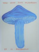 SHRIGLEY, DAVID OBE (born 1968) British