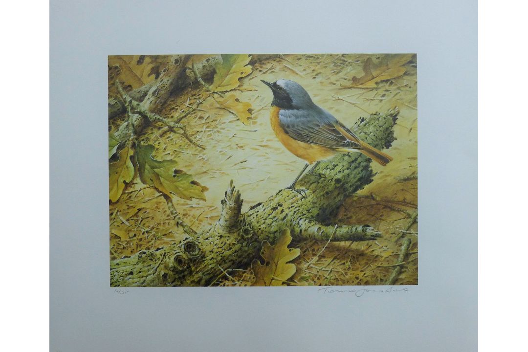 BOND, TERANCE JAMES (born 1946) British (AR), Redstart, a signed limited edition print, - Image 2 of 4