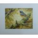 BOND, TERANCE JAMES (born 1946) British (AR), Redstart, a signed limited edition print, - Image 2 of 4