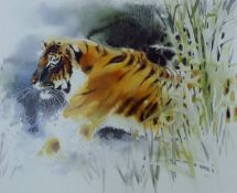 WEBER, WOLFGANG (born 1936) German (AR), Tiger, a signed limited edition print, numbered 528/750,