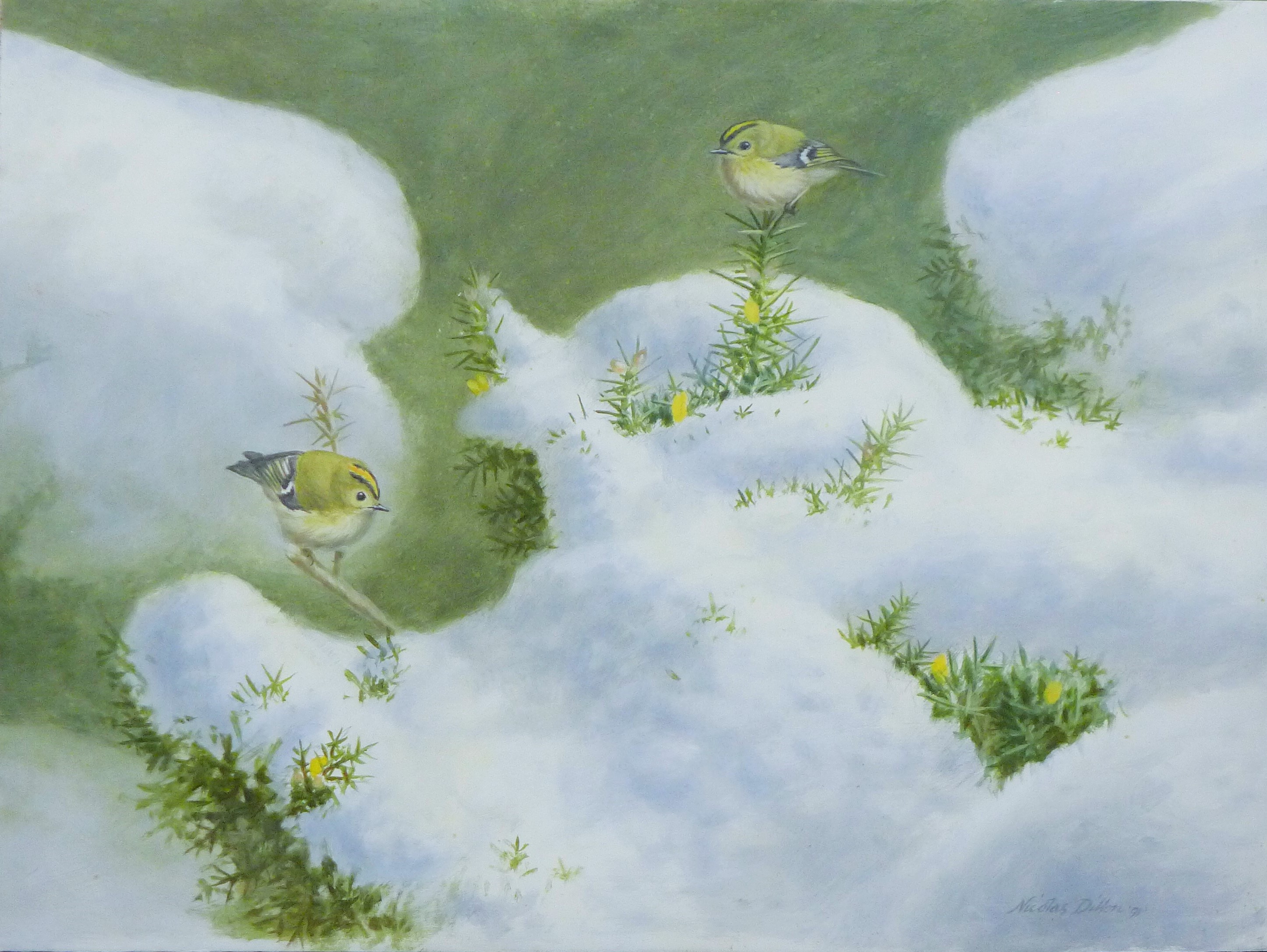 DILLON, NICHOLAS (born 1966) New Zealand