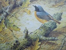 BOND, TERANCE JAMES (born 1946) British (AR), Redstart, a signed limited edition print,