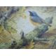 BOND, TERANCE JAMES (born 1946) British (AR), Redstart, a signed limited edition print, - Image 1 of 4