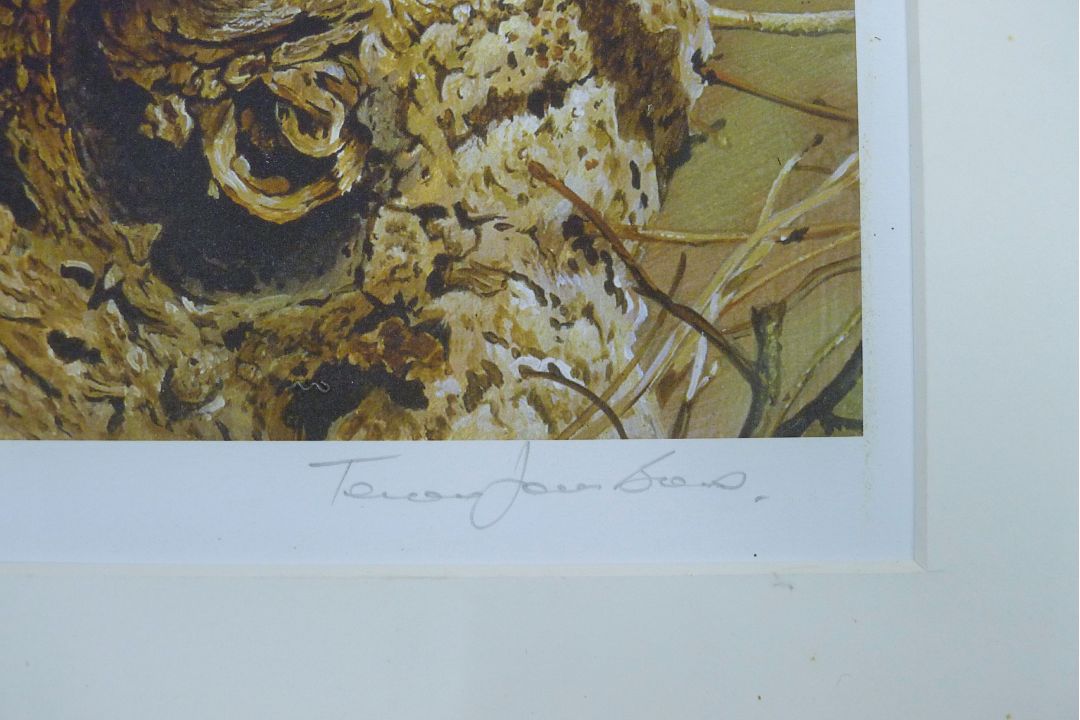 BOND, TERANCE JAMES (born 1946) British (AR), Little Owl, a signed limited edition print, - Image 3 of 4