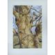 BOND, TERANCE JAMES (born 1946) British (AR), Little Owl, a signed limited edition print, - Image 2 of 4