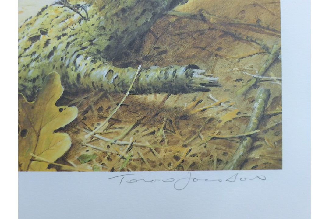 BOND, TERANCE JAMES (born 1946) British (AR), Redstart, a signed limited edition print, - Image 3 of 4