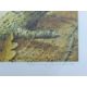 BOND, TERANCE JAMES (born 1946) British (AR), Redstart, a signed limited edition print, - Image 3 of 4