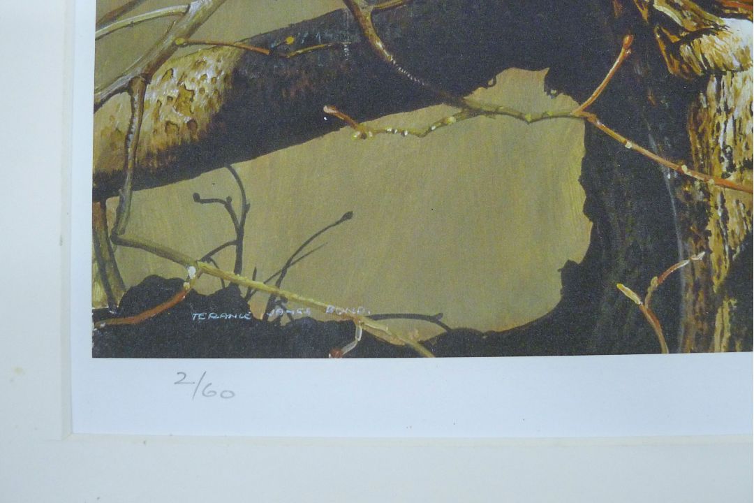 BOND, TERANCE JAMES (born 1946) British (AR), Little Owl, a signed limited edition print, - Image 4 of 4