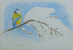 HAMPTON, MICHAEL (born 1937) British (AR), Blue Tit, watercolour. 18 cm x 26 cm.