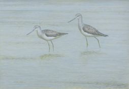 DILLON, NICHOLAS (born 1966) New Zealand