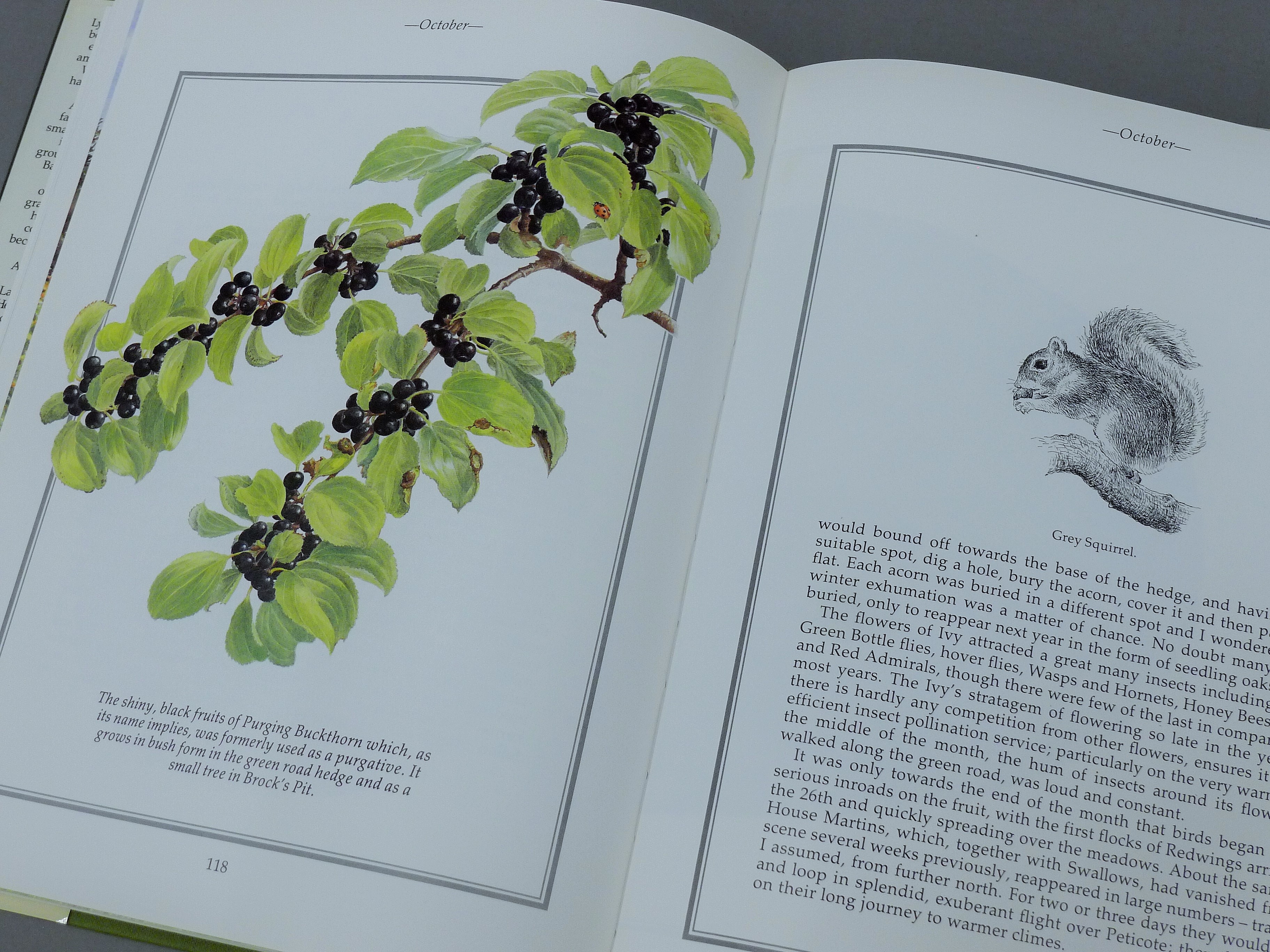 PERKINS, BEN, A Secret Landscape, Diary - Image 8 of 8