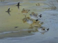 ROBJENT, RICHARD (born 1937) British (AR), Gadwall Frozen Out, watercolour, signed,