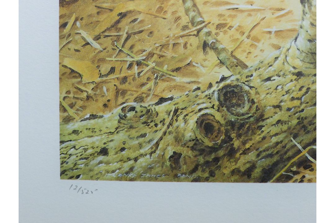 BOND, TERANCE JAMES (born 1946) British (AR), Redstart, a signed limited edition print, - Image 4 of 4