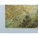 BOND, TERANCE JAMES (born 1946) British (AR), Redstart, a signed limited edition print, - Image 4 of 4